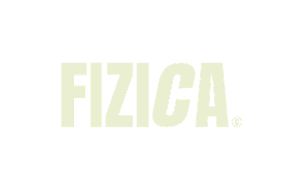 FIZICA